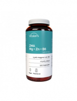 ZMA Mg 240 mg + Zn 15 mg + B6 10 mg 120cap