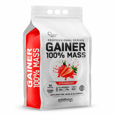 100% Mass Gainer 5kg